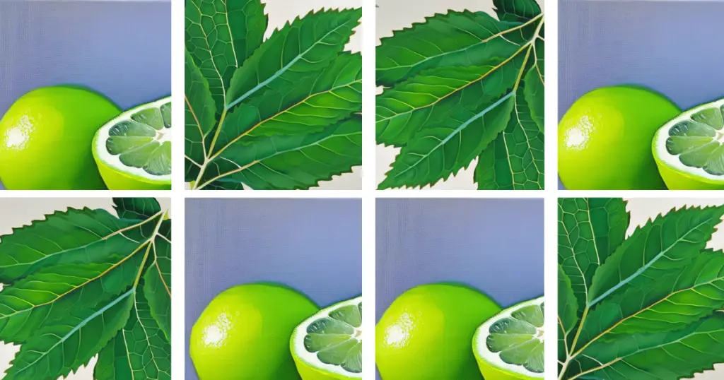 Stylised collage of the ingredients of a Nojito: limes and mint