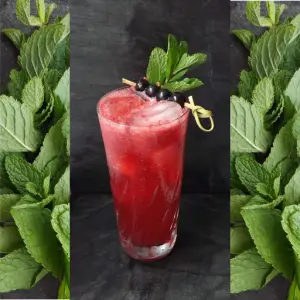 Photo of a Tidal Currant, Blackcurrant, Apple and Mint Tonic mocktail, bordered with photos of mint leaves.